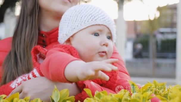 性格开朗的妈妈保持婴儿触摸绿色的树叶