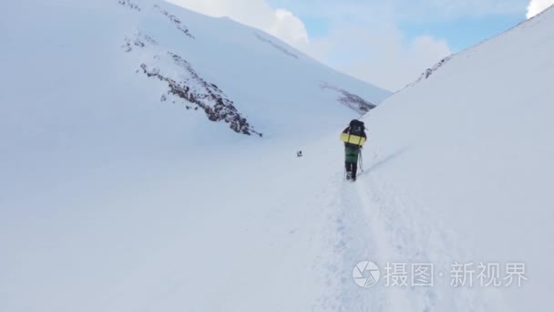 爬到顶部的布鲁斯视频