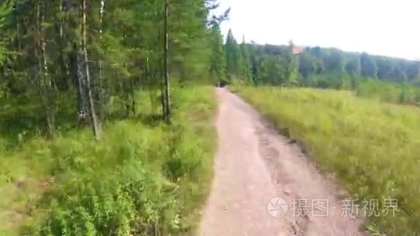 骑自行车在夏天的森林里的第一人 骑自行车在gopro 与孙树林一条小径上 两个骑自行车的人mountainbiker 在树林mp4格式视频下载 正版视频编号015nhn 摄图新视界视频库