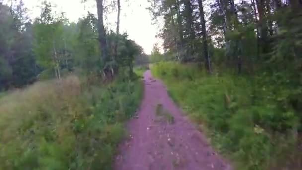 骑自行车在夏天的森林里的第一人 骑自行车在gopro 与孙树林一条小径上 两个骑自行车的人mountainbiker 在树林mp4格式视频下载 正版视频编号015o8k 摄图新视界视频库