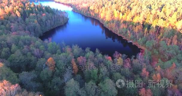 秋天的森林和湖泊上方飞