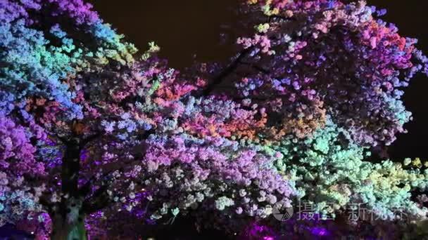 树亮色彩鲜艳的动画视频