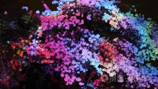 神奇的樱桃树动画灯光秀视频