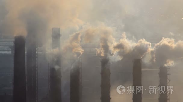 管道的植物特写。烟雾在空气中