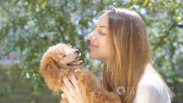 美丽的耳朵，成熟的谷物在风中摇摆。 成熟的谷物在天空中收获。 美丽的天空和云彩在乡村视频