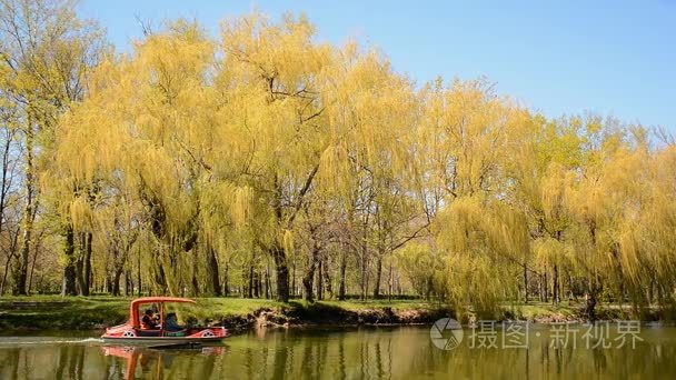 在城市公园   单船沿着池塘边骑春季休闲