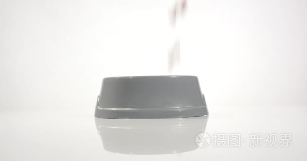 缓慢 宠物食品掉进了一个宠物的碗