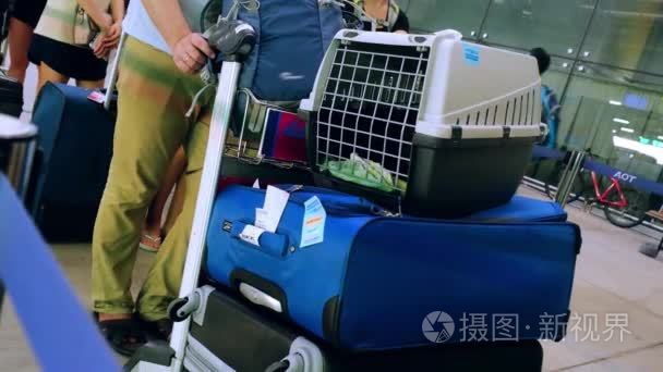 泰国曼谷，2015 年 11 月 22 日，旅行者缅因猫咪在机场行李与它的笼子里所有者。3840  2160