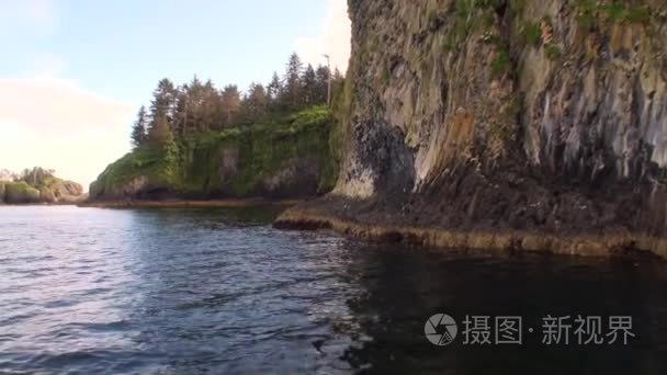 独特的景观的背景，水汪汪的表面，在阿拉斯加山脉