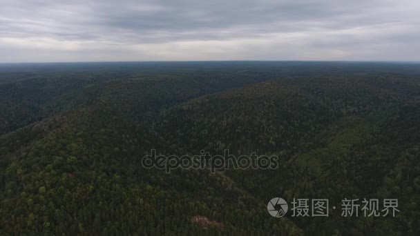 空中泛的群山覆盖着针叶林视频