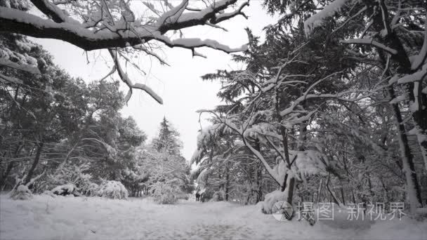 飘落的雪花冬季公园里的雪覆盖了树人行走-慢动作