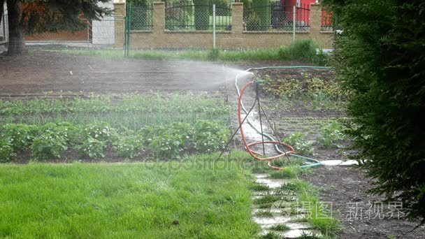 在花园里的自动喷水灭火视频