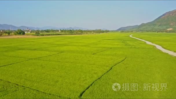 在穿越绿色稻田的山川视频