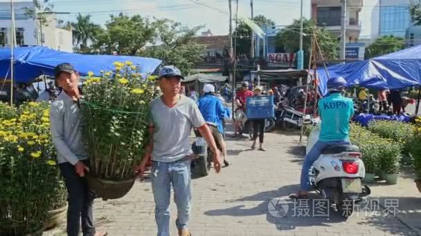 男子携带在街边市场的菊花花盆视频