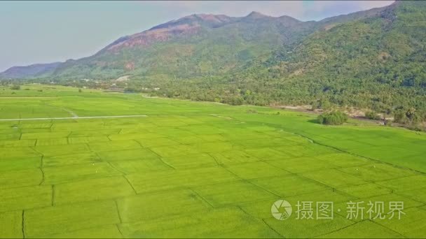 在穿越绿色稻田的山川视频