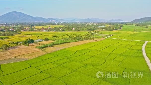 稻田水渠道和途径到情节除以视频