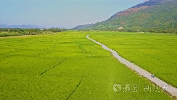 稻田之间的地面道路视频