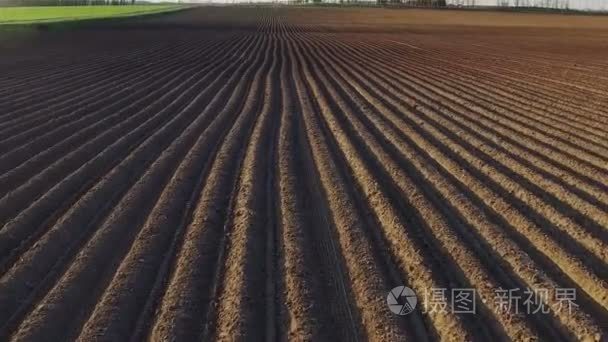 在日落时分在视图中春、 空中飞行以上新鲜栽培的田野