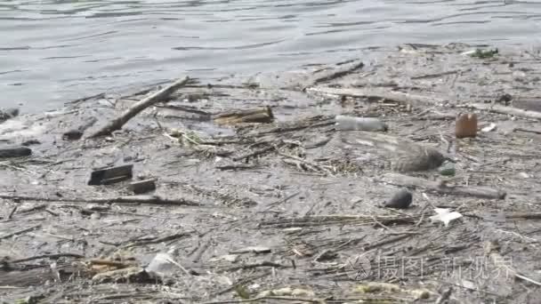 环境污染的河流的示例视频