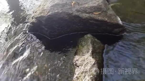 水洗河里的石头视频