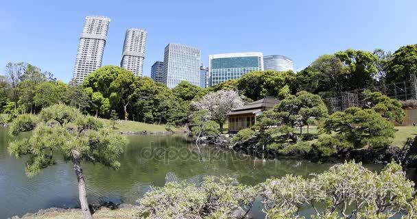 在离宫花园汐留建筑物