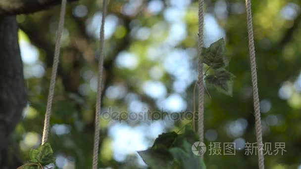 摆在夏天公园的树上装饰着花朵，蓝色与红色的花丝带