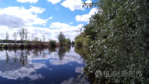 美丽湖景观与银行反映在平静的水面，Ruzhicna，Khmelnytskyi，乌克兰森林