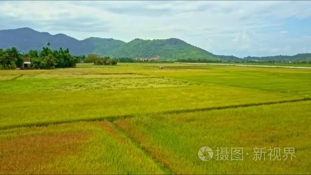 稻田，背山驾驶拖拉机