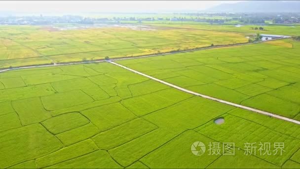 稻田路与湖山反对