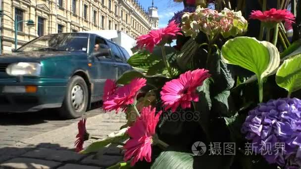 在这个繁华的都市中心插花视频