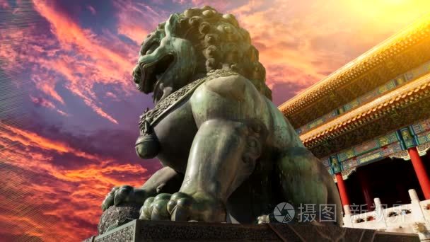 中国监护狮子视频