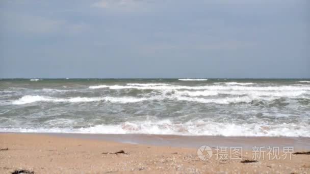 美丽的海海岸视频