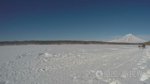 堪察加半岛传统极端狗拉雪橇比赛吉亚视频