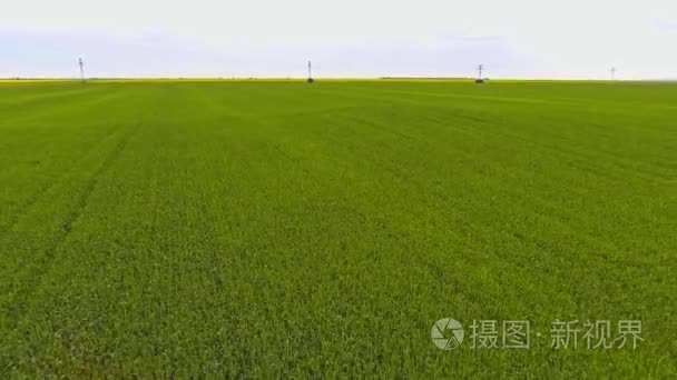 麦田对蓝蓝的天空视频