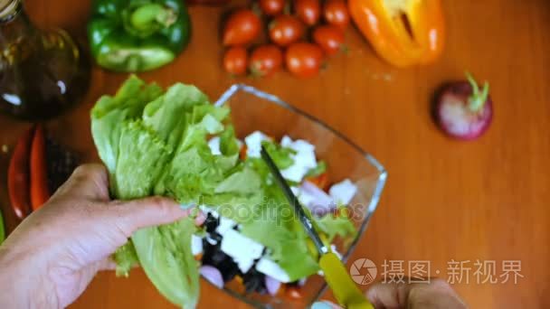 女人削减生菜的叶子用剪刀视频