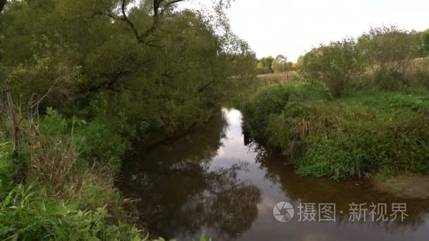 在夏天的小森林河流两岸视频