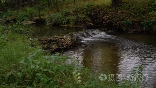 流动的河和叶子的秋景视频