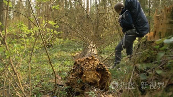 女孩 overstepes 在夏季森林慢动作倒下的树 180 帧秒