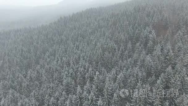 在冬季森林的低空飞行视频