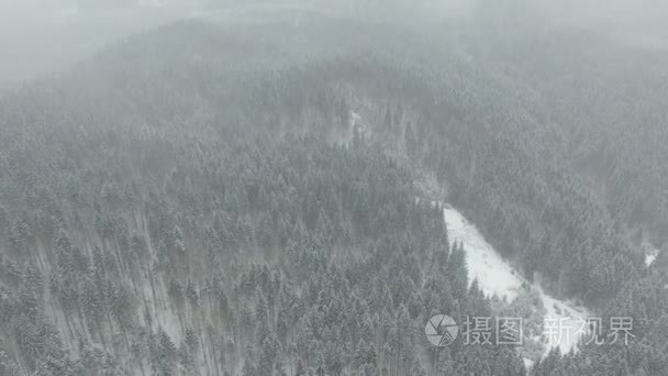 在冰雪覆盖的冬季森林飞行视频