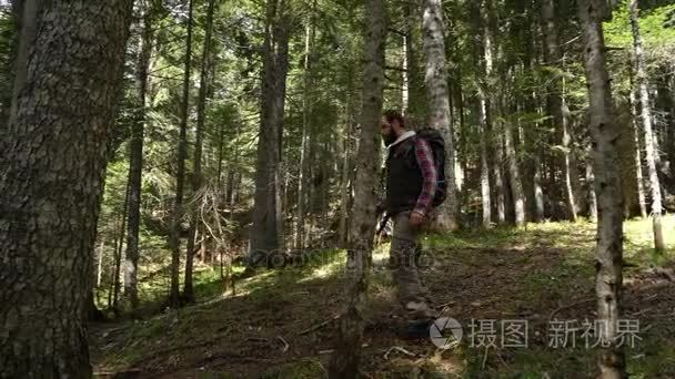 与一个背包旅行者穿过了森林视频