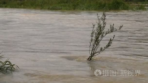 河堤决口。浑水