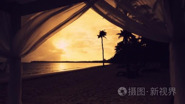蓬塔卡纳金在沙质海滩和棕榈树上的日出