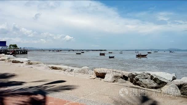 海与鸟类和蝴蝶视频