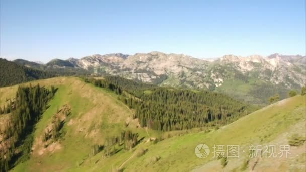 空中拍摄的绿色森林和高山草甸视频