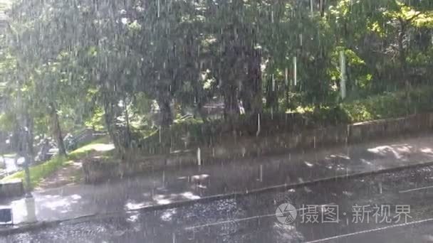 夏季暴雨在公园视频