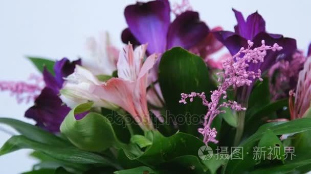 特写镜头，花朵，花束，白色背景上的旋转，花卉组成的 Russus 六出 加拿大一枝黄花 非洲菊视频