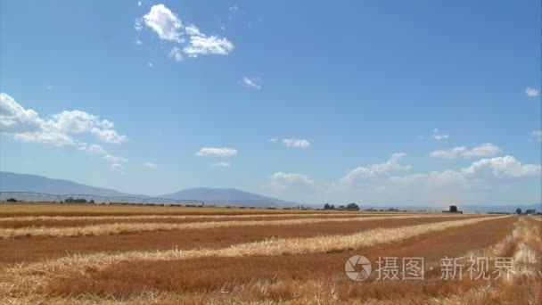 新收获的麦田和蓝蓝的天空视频