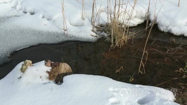 荒野中的清水