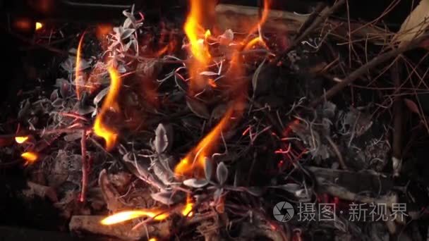 木材和煤炭火烧伤视频